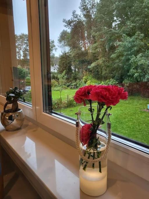 Haus Am Walde Apartment Mullrose Luaran gambar