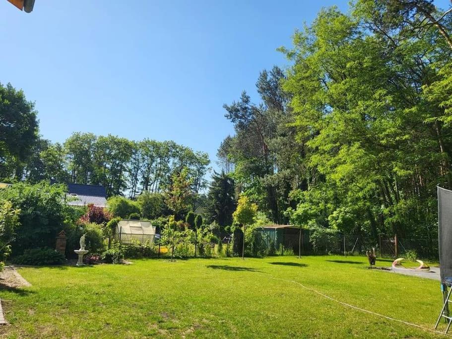 Haus Am Walde Apartment Mullrose Luaran gambar